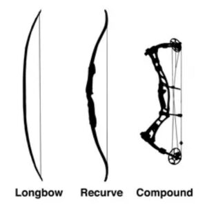Recurve Bow Vs. Longbow Vs. Compound Bow