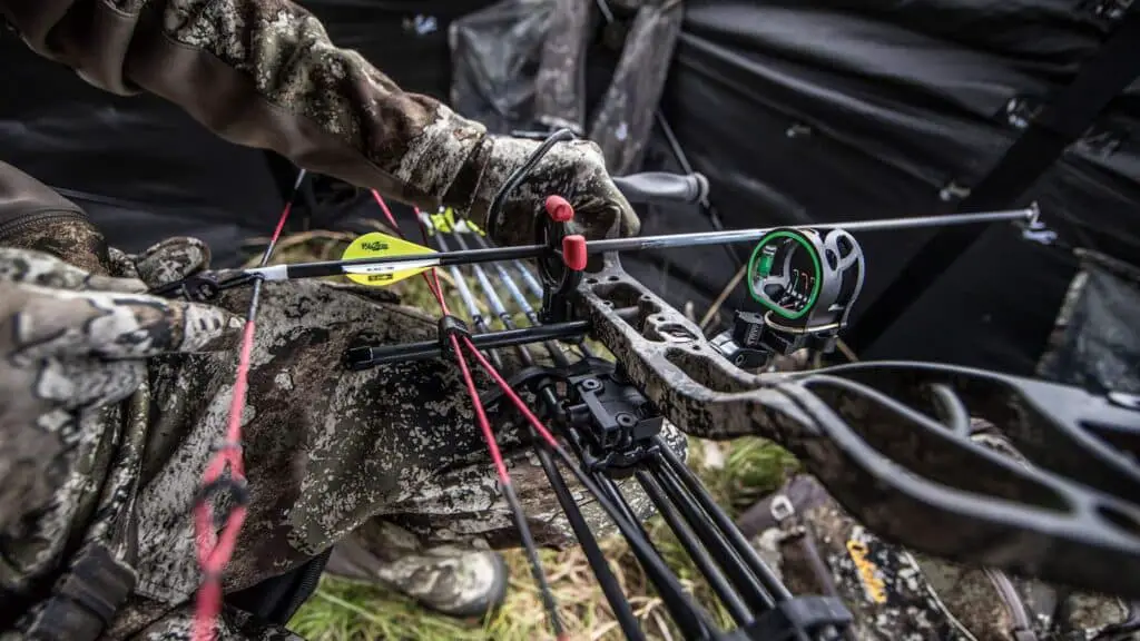 Master the Art of Compound Bows in 2024 | Ultimate Guide