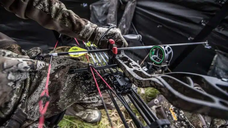 Ultimate guide to a compound bows 2023