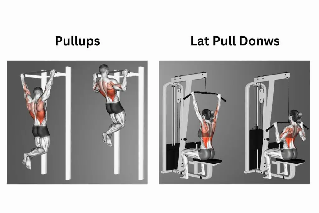 Pullups and lat pull downs archery exercise helps the strengthen the muscles of back