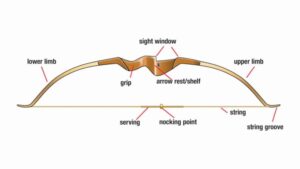 This picture is showing deferent parts of a bows which help to understand the archers