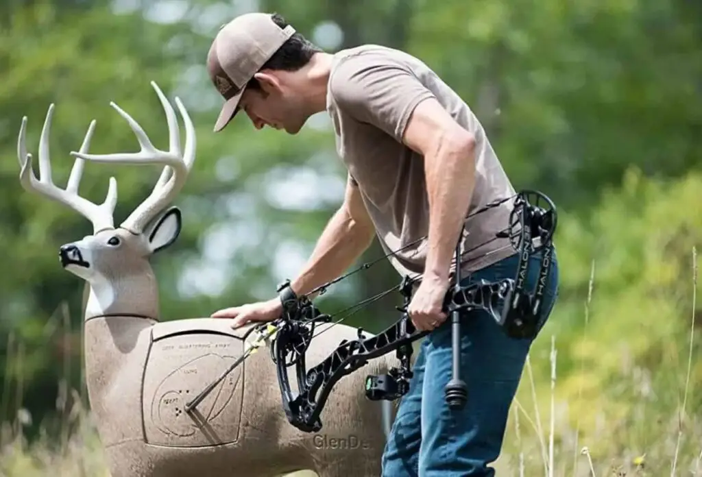 Mastering Your Aim with 3D Archery Targets: Enhancing Your Archery Skills and Experience