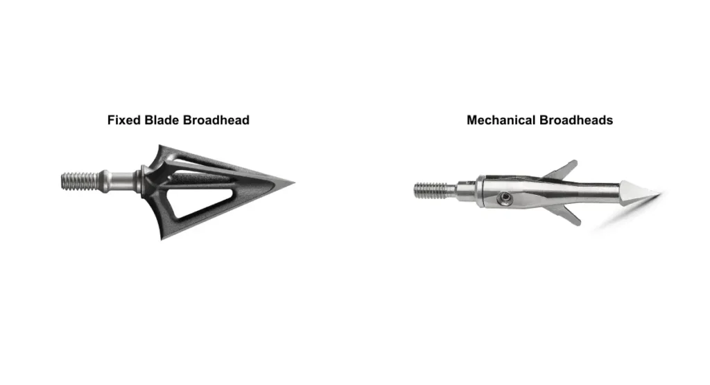 Different types of broadhead - Broadhead