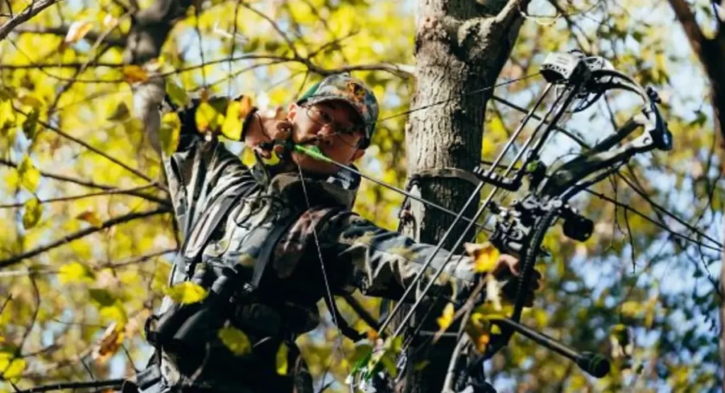 Choosing The Right Hunting Bow - Crossbow Vs Compound Bow? - compound bow
