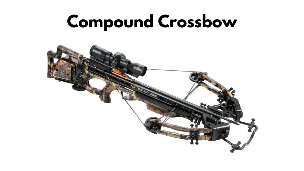The compound crossbow: combining power with precision type of crossbows
