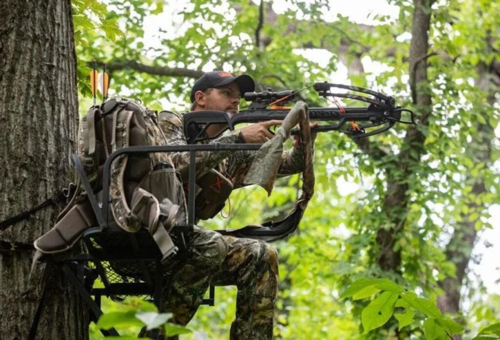 Crossbow vs compound bow a guide to choosing the right product