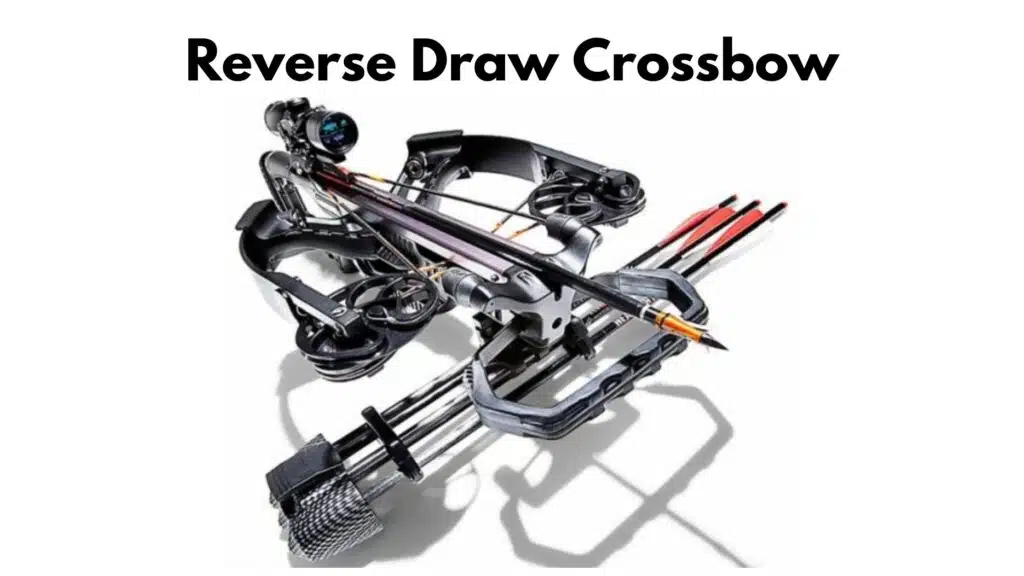 The Reverse Draw Crossbow: Redefining Balance and Performance types of crossbows