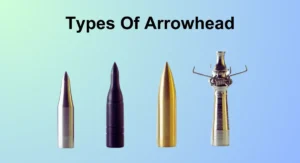 7 Different Types of Arrowheads: Ultimate Archery Guide