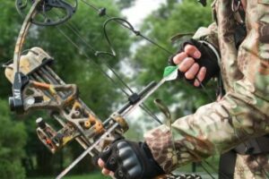 we cut through the noise and recommend the absolute best compound bow for beginners to inspire the archer in you