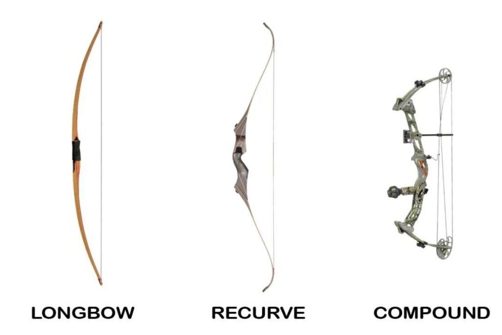 Ultimate Guide to Compound Bows - Compound Bow Vs. Traditional Bow