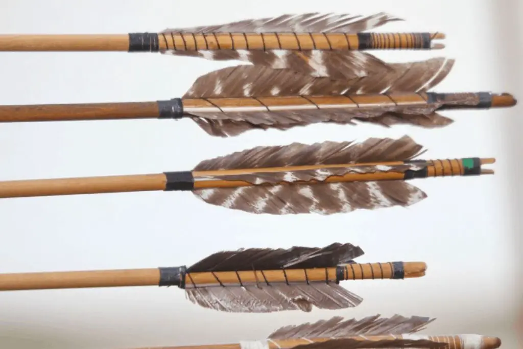 Feathers have historically been used for arrow fletching, providing balance and accuracy.