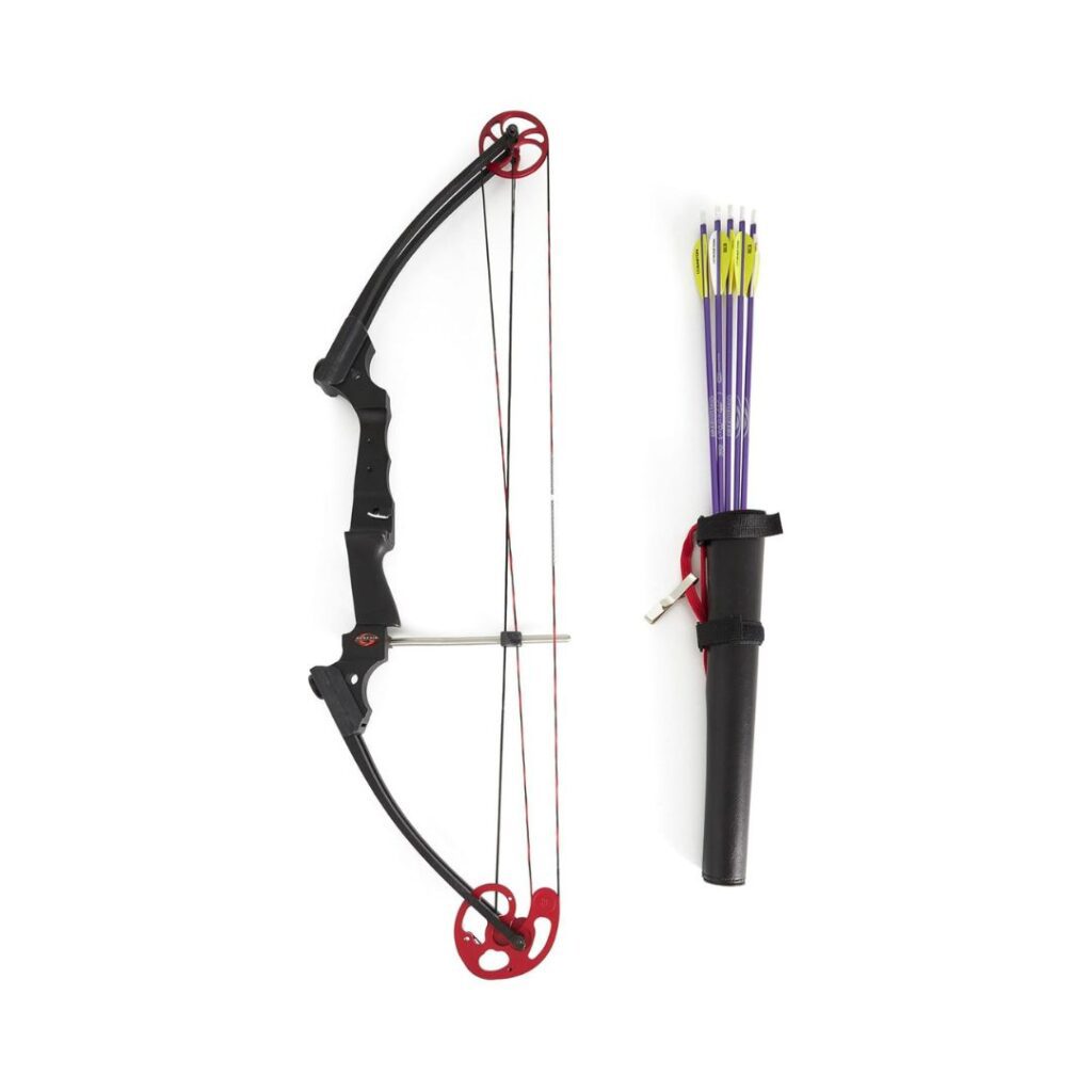 Genesis Original Compound Bow - Best Compound Bow for Beginners - Target Shooting
