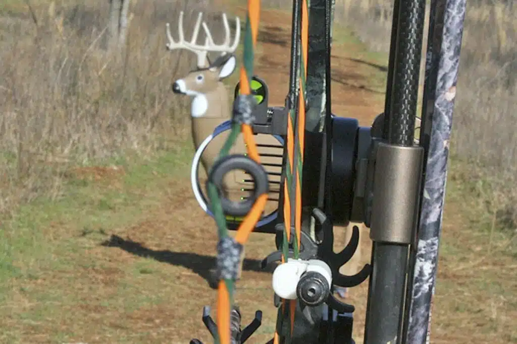 Peep sight in a bow have a gap-focused point that lets you recognize your target.