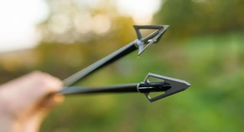 We will walk you through every aspect of choosing the best crossbow broadhead for your hunting needs in this comprehensive guide.