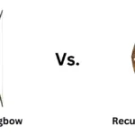 The choice between a recurve bow vs longbow is more than just a matter of historical preference