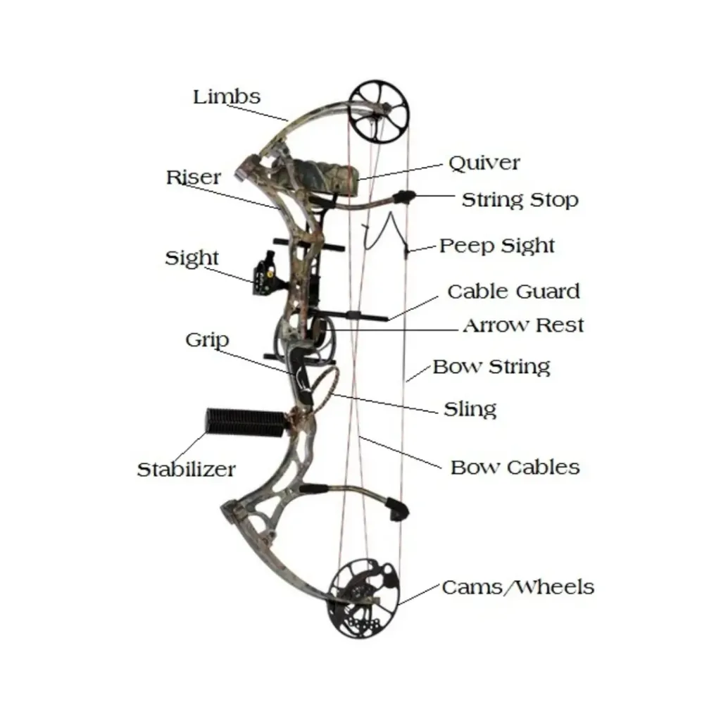 Compound Bow Components Diagram