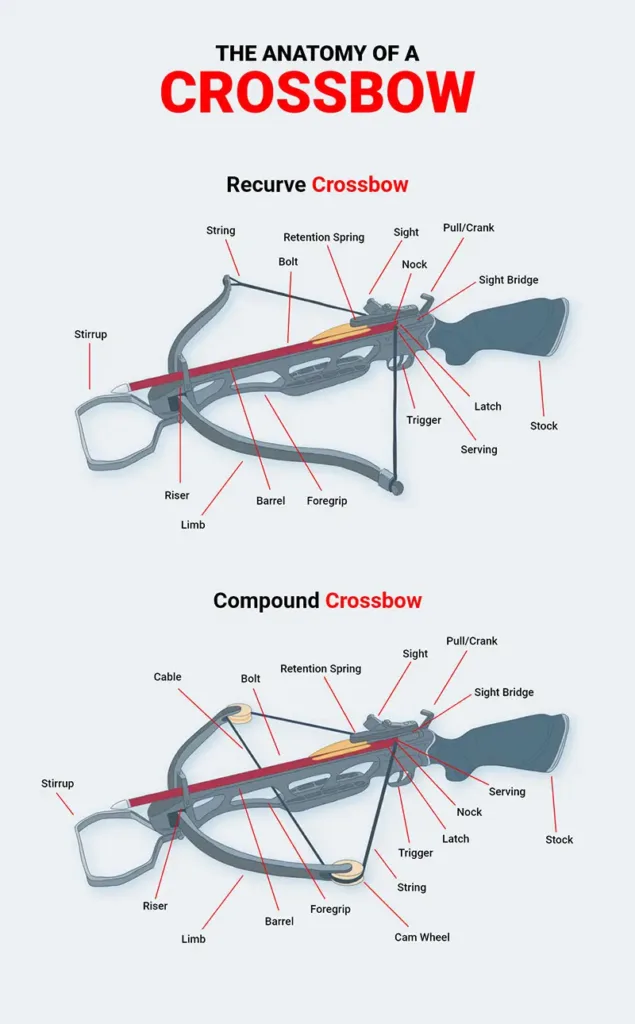 Parts of a crossbow diagram