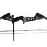 Best Compound Bow For Women