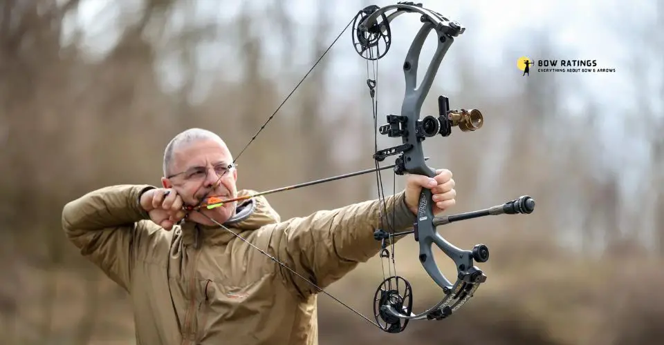 Compound Target Bow: Best Compound Bow for Beginners