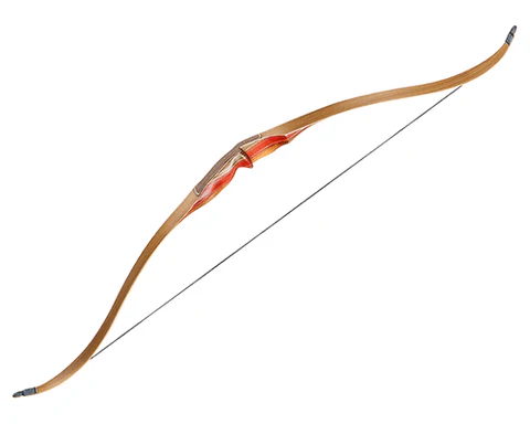 Best Recurve Bow for Beginners